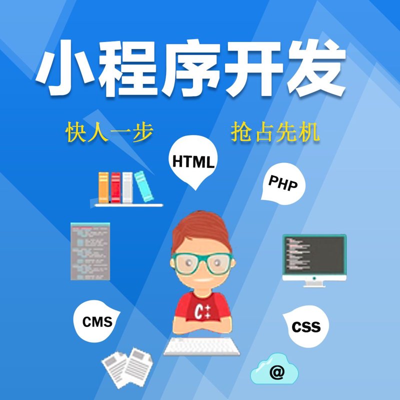 上海软件开发：创新与机遇并行的行业生态