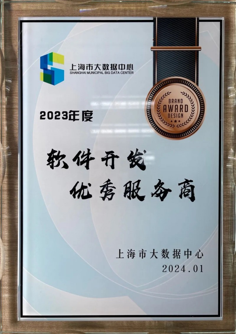 软件开发：推动上海企业数字化转型的新引擎