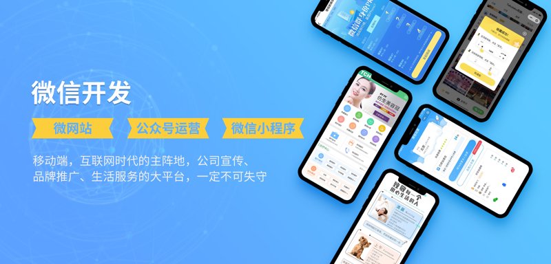 上海软件开发:科技风向标的背后